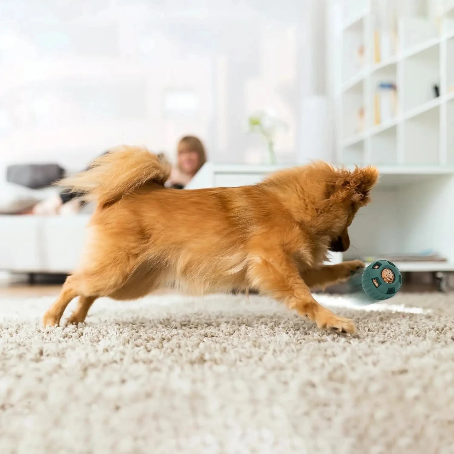 S0dac4222ac0048b588cb7a35d6a514c0O